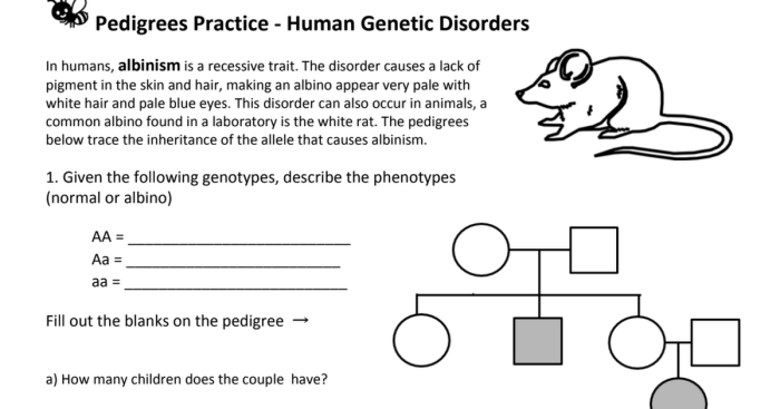 Pedigrees practice human genetic disorders