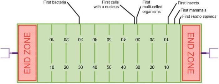 Geologic time football field answer key