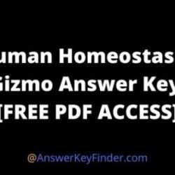 Human homeostasis gizmo answer key