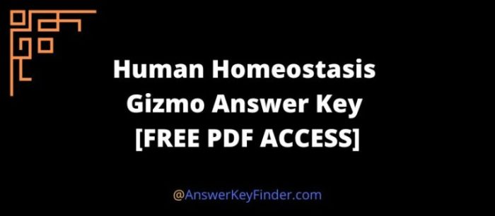 Human homeostasis gizmo answer key