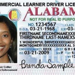 Alabama driver manual test answers