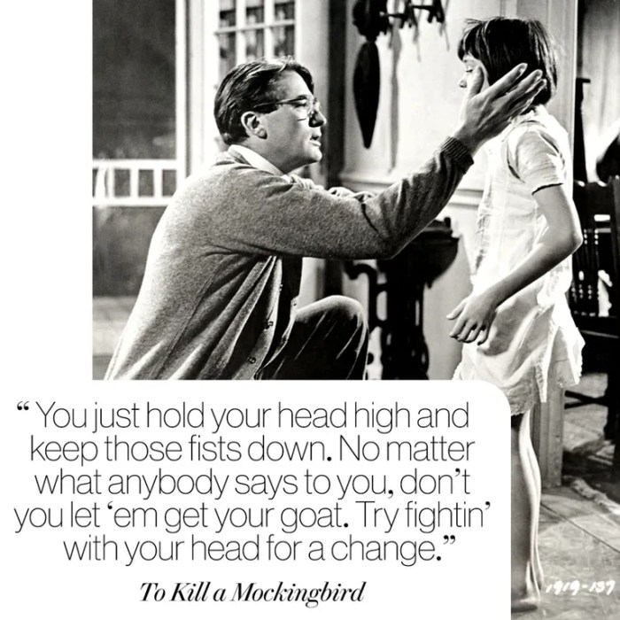 To kill a mockingbird racism quotes