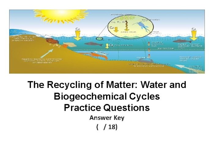 Practice biogeochemical cycles answer key