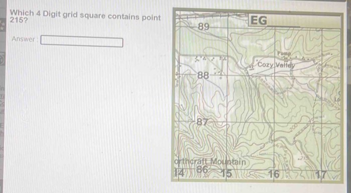 Which 4 digit grid square contains point 215