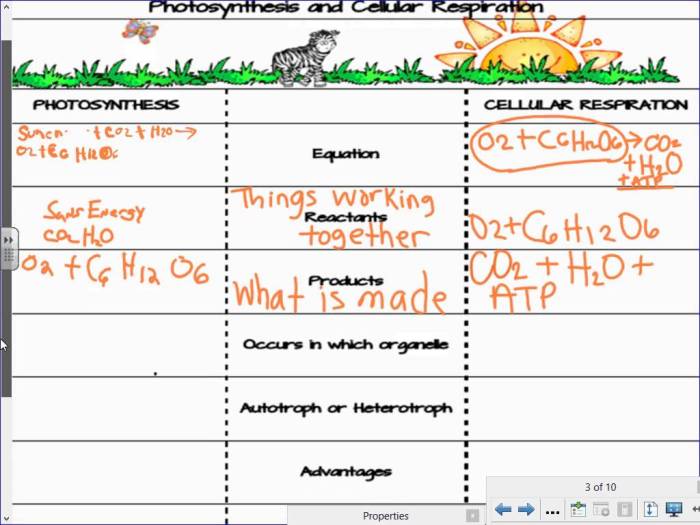 Comparing photosynthesis and cellular respiration answer key